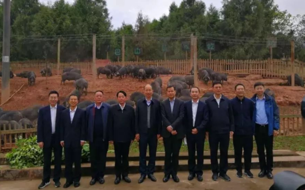 中國工商銀行黨委書記、董事長易會滿一行來巴山牧業調研
