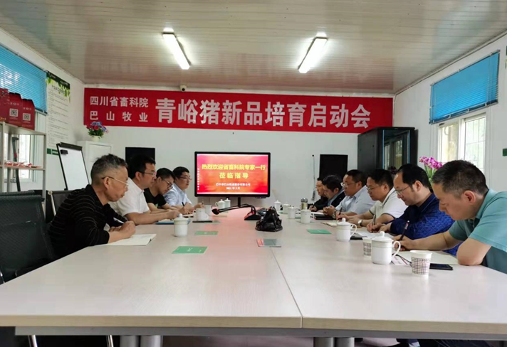 四川省畜科院與巴山牧業青峪豬新品培育啟動會