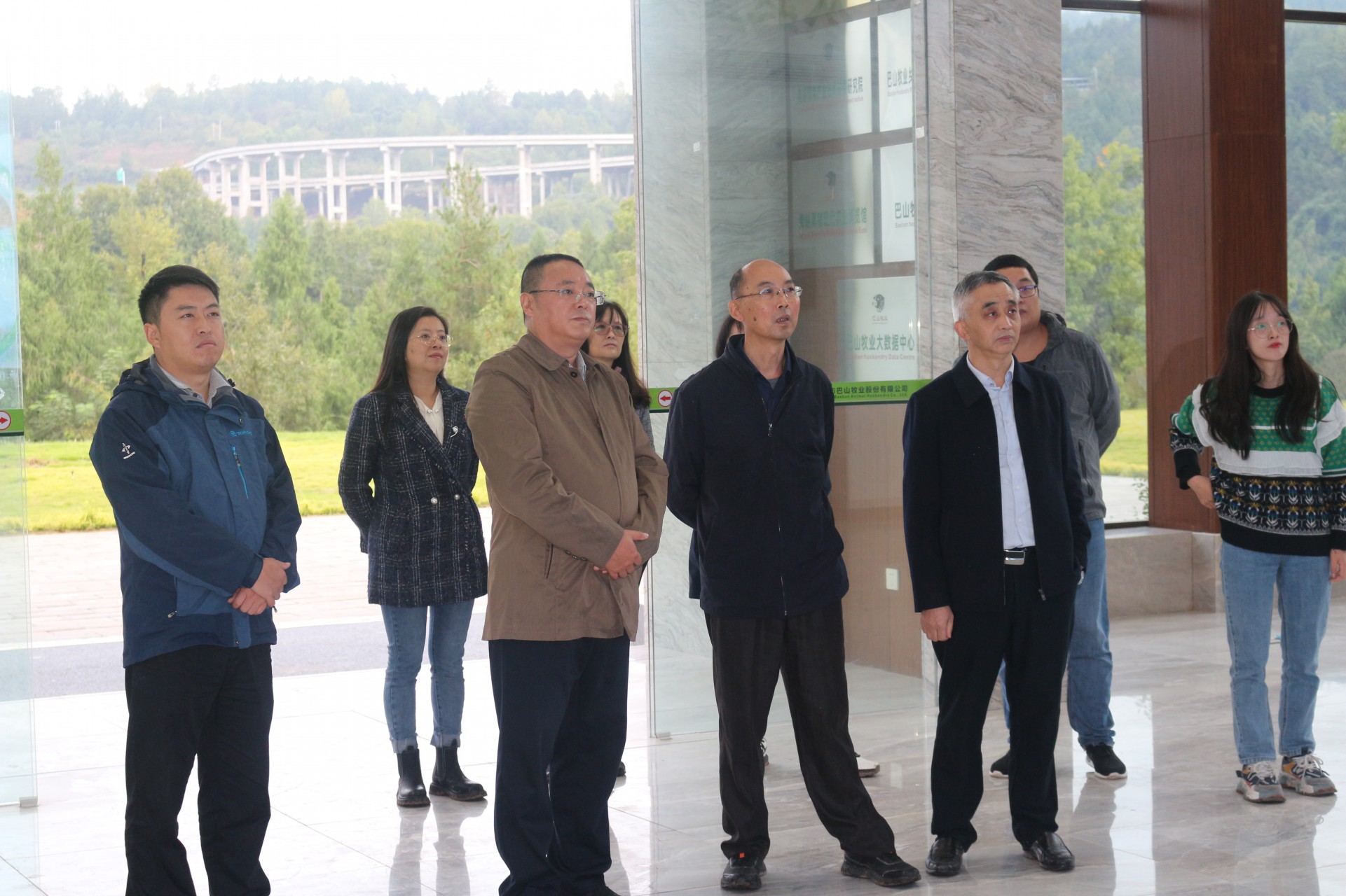 省市畜牧專家考察調研巴山牧業